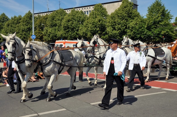 Schuetzenausmarsch 2009   101.jpg